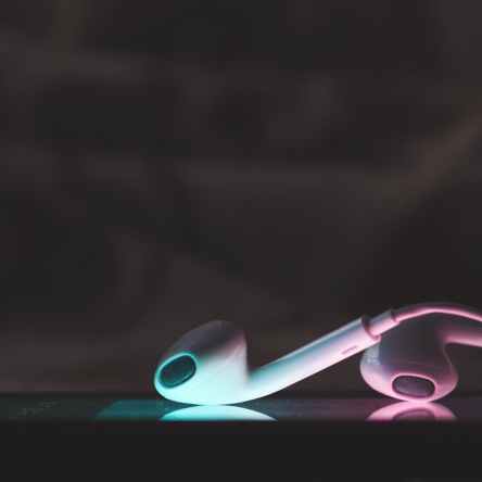 Earphones for Listening to The Megas