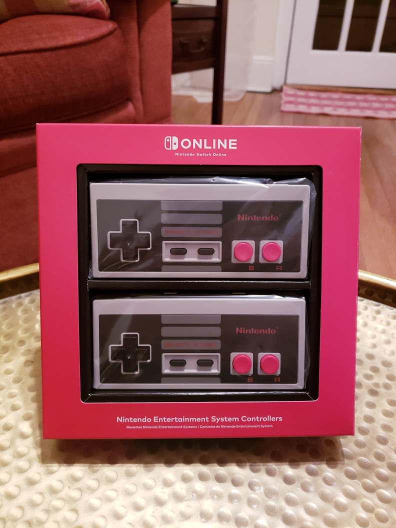 Nintendo Switch NES Controllers in Box