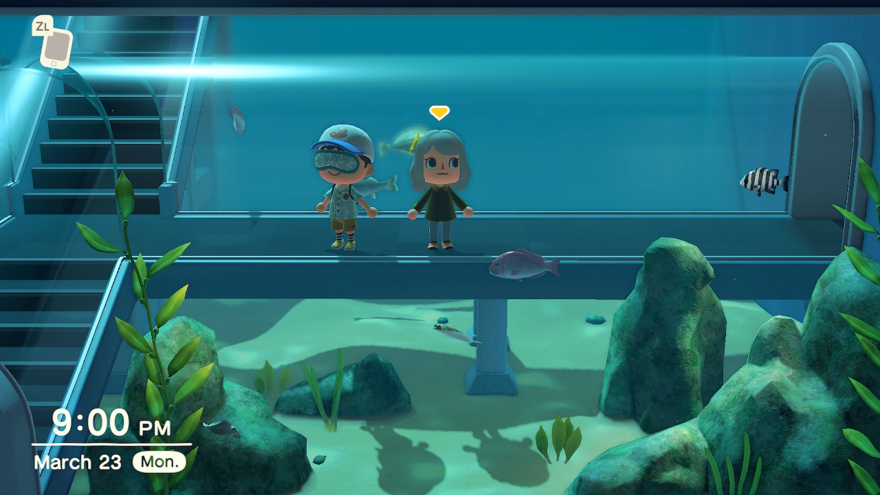 Animal Crossing New Horizons Fish Exhibit in Museum